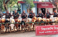 সিলেট ও সুনামগঞ্জ সীমান্তে কোটি টাকার ভারতীয় পণ্য জব্দ