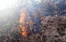 সিলেট শাহজালাল বিশ্ববিদ্যালয়ের টিলায় আগুন