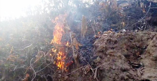 সিলেট শাহজালাল বিশ্ববিদ্যালয়ের টিলায় আগুন